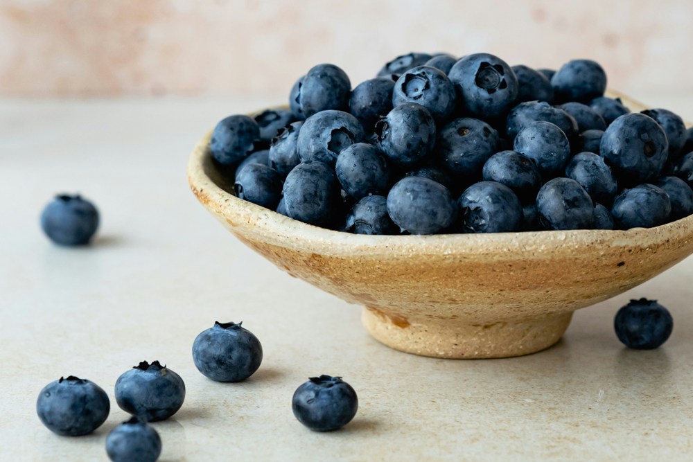 Texas Blueberry Festival Celebrates the Annual Blueberry Harvest in East Texas | Downtown Nacogdoches, Texas, USA