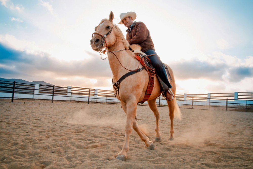 Palomino Fest and Pro Rodeo Features Massive Concerts and Rodeo Action | Uvalde, Texas, USA