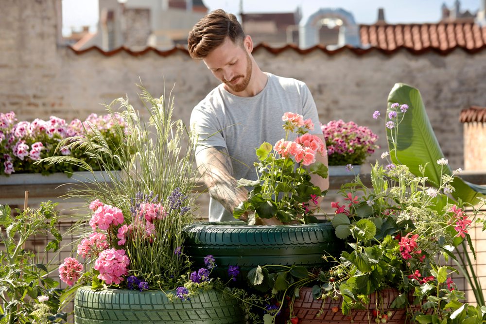 4 Helpful Gardening Tips for Beginners