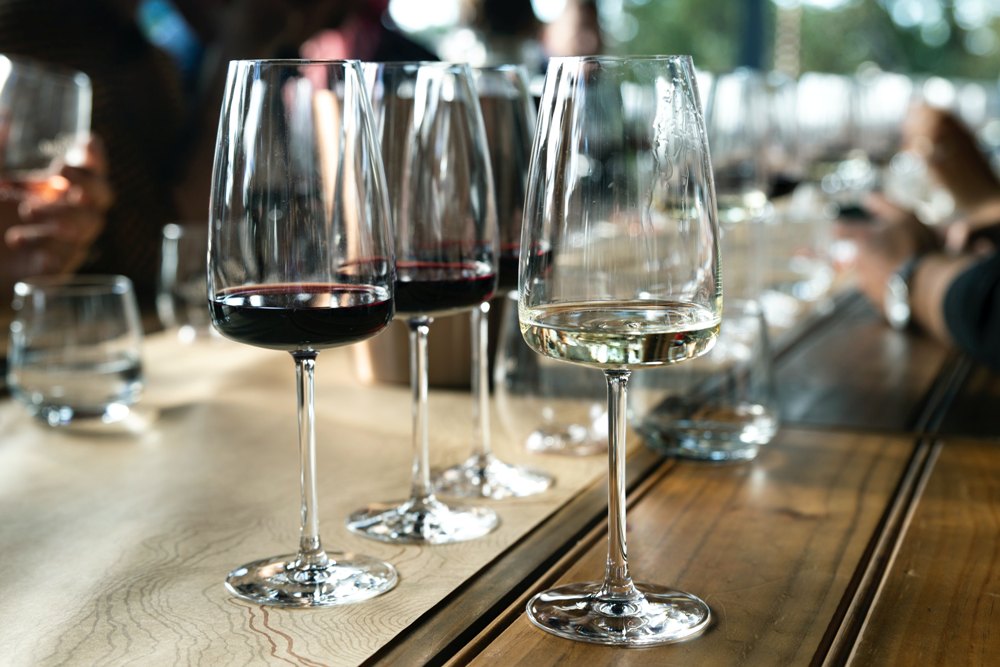 Unforgettable Wine Tasting in North Fork, Long Island